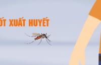 Tăng cường công tác phòng, chống sốt bệnh xuất huyết