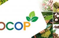 Cà Mau nổ lực triển khai Chương trình  mỗi xã một sản phẩm giai đoạn 2021 – 2025