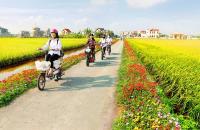 Bộ Thông tin và Truyền thông hướng dẫn các tiêu chí về xã nông thôn mới và xã nông thôn mới nâng cao giai đoạn 2021-2025