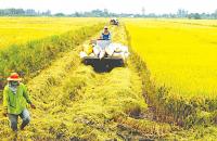 Phát triển hợp tác xã nông nghiệp trong tái cơ cấu ngành nông nghiệp và xây dựng nông thôn mới