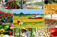 Chiến lược phát triển ngành nghề nông thôn đến năm 2030, tầm nhìn đến năm 2045