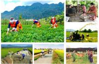 Cà Mau phát động phong trào thi đua thực hiện các Chương trình mục tiêu quốc gia năm 2023