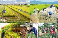 Đẩy nhanh tiến độ phê duyệt dự án, tổ chức thực hiện và giải ngân kế hoạch đầu tư vốn năm 2023