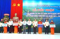 Hướng dẫn xác định tiêu chí xã, huyện, thị xã,  thành phố thuộc tỉnh, thành phố trực thuộc trung ương  đạt nông thôn mới về điện