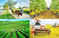 Bộ Tư pháp hướng dẫn một số nội dung về  đánh giá, công nhận đạt chuẩn tiếp cận pháp luật