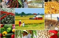 Cà Mau xây dựng Chương trình phát triển nông nghiệp hiện đại, bền vững đến năm 2025 và định hướng đến năm 2030