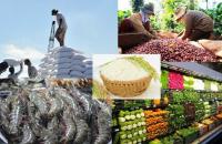 Tập trung tháo gỡ khó khăn, vướng mắc thúc đẩy sản xuất, tiêu thụ nông sản; chống khai thác hải sản bất hợp pháp, không báo cáo và không theo quy định