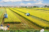 Bộ Nông nghiệp và Phát triển nông thôn ban hành Chương trình Truyền thông xây dựng nông thôn mới giai đoạn 2021 – 2025