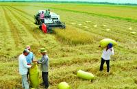 Giai đoạn 2022 – 2025, sẽ đào tạo nghề nông nghiệp cho 23.466 lao động 