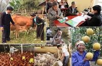 Kế hoạch tổ chức thực hiện Phong trào thi đua “Vì người nghèo - Không để ai bị bỏ lại phía sau” giai đoạn 2021 – 2025