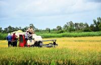 Nhiệm vụ, giải pháp hoàn thiện thể chế, chính sách về nông nghiệp, nông dân, nông thôn