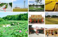 Điều kiện công nhận, thu hồi quyết định công nhận địa phương đạt chuẩn nông thôn mới