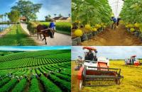 Bộ Tài nguyên và Môi trường hướng dẫn một số nội dung thành phần Chương trình MTQG xây dựng nông thôn mới giai đoạn 2021-2025 