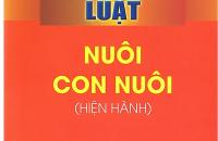 Đề xuất xây dựng quy định về hủy việc nuôi con nuôi trong Luật nuôi con nuôi