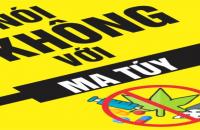  Cà Mau triển khai Chương trình phòng, chống ma túy trong thanh, thiếu niên đến năm 2030