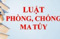 Hưởng ứng Cuộc thi Tìm hiểu Luật phòng, chống ma túy