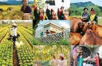 Cà Mau quan tâm phát triển kinh tế - xã hội vùng đồng bào dân tộc thiểu số