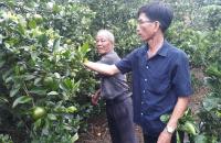 U Minh thực hiện hiệu quả quy ước 