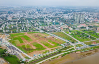 Nghị quyết về kết quả giám sát thực hiện công tác lập, tổ chức thực hiện và quản lý quy hoạch, kế hoạch sử dụng đất trên địa bàn tỉnh Cà Mau