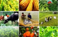 Xây dựng và nhân rộng các mô hình sản xuất có hiệu quả năm 2022