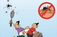 Chủ động phòng, chống sốt xuất huyết 