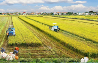 Tờ gấp Đề án 977 - Tăng cường năng lực tiếp cận pháp luật của người dân - đợt 5 năm 2025