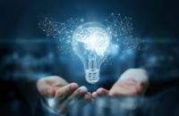 Chương trình phát triển tài sản trí tuệ tỉnh Cà Mau đến năm 2030 