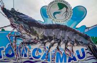 Cà Mau triển khai phương án phát triển ngành tôm  thời kỳ 2021 - 2030, tầm nhìn đến năm 2050