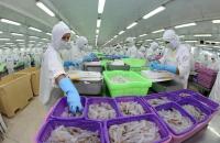 Tăng cường phòng, chống dịch COVID-19 trong sản xuất, thi công công trình và hạn chế đi lại