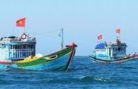 Cà Mau thực hiện kiện toàn Ban Chỉ đạo và thành lập các Tổ nghiệp vụ giúp việc Ban Chỉ đạo về chống khai thác hải sản bất hợp pháp, không báo cáo và không theo quy định (IUU)