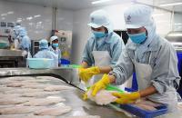 Phê duyệt Đề án phát triển ngành chế biến thủy sản giai đoạn 2021 – 2030