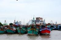 Cà Mau triển khai thực hiện các nhiệm vụ chống khai thác hải sản bất họp pháp những tháng cuối năm 2022