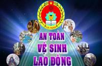 Cà Mau triển khai Tháng hành động về An toàn, vệ sinh lao đông năm 2024