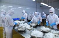 Phân công nhiệm vụ các Tổ viên Tổ công tác đặc biệt tháo gỡ khó khăn, vướng mắc, hỗ trợ doanh nghiệp, nhà đầu tư, dự án đầu tư trên địa bàn tỉnh