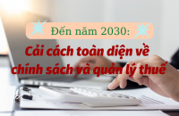 Cà Mau triển khai thực hiện Chiến lược cải cách hệ thống thuế đến năm 2030 