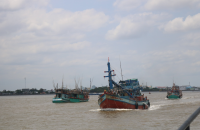 Hỗ trợ cước thuê bao dịch vụ giám sát hành trình  tàu cá trên địa bàn tỉnh Cà Mau