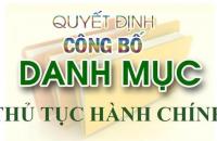 Cà Mau công bố Danh mục 08 thủ tục hành chính  thuộc lĩnh trợ giúp pháp lý