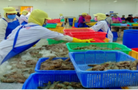 Cà Mau thực hiện chiến lược  xuất nhập khẩu hàng hóa đến năm 2030 