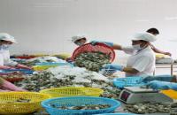 Cà Mau ban hành Kế hoạch đẩy mạnh xuất khẩu hàng hoá 