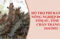 Hỗ trợ phí bảo hiểm nông nghiệp đối với tôm sú, tôm thẻ chân trắng từ 24/6/2022