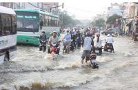Cà Mau chỉ đạo theo dõi, ứng phó với triều cường