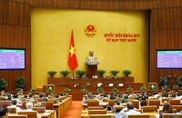 Quốc hội thông qua Luật sửa đổi, bổ sung một số điều của Luật Xử lý vi phạm hành chính