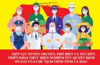 Tiếp tục tuyên truyền, phổ biến và tổ chức triển khai thực hiện nghiêm túc  Quyết định số 2222 của Chủ tịch Ủy ban nhân dân tỉnh