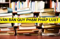 Rà soát pháp luật để tháo gỡ khó khãn cho đầu tư, kinh doanh trong điều kiện dịch Covid-19 diễn biến phức tạp