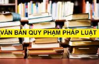 Nâng cao chất lượng công tác xây dựng, hoàn thiện hệ thống pháp luật