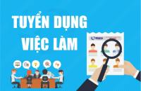 Hỗ trợ tìm việc làm cho người được giáo dục tại xã, phường, thị trấn