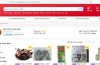 Phấn đấu ít nhất 70% số hộ sản xuất nông nghiệp trong tỉnh biết đến sàn thương mại điện tử